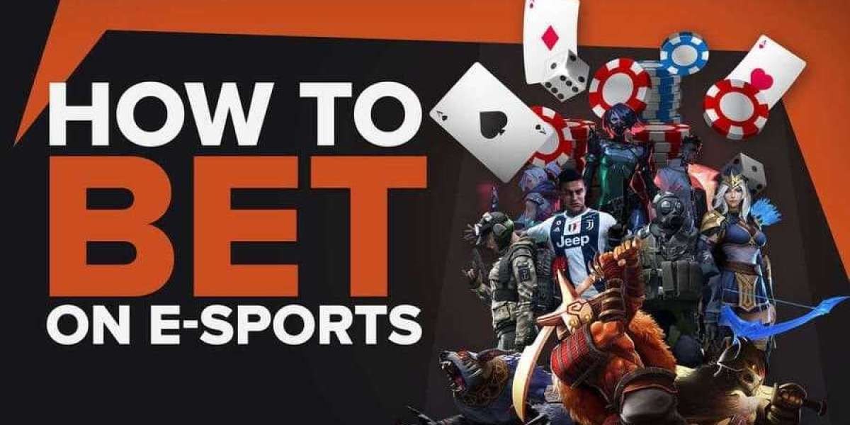 The Ultimate Guide to Sports Betting Sites