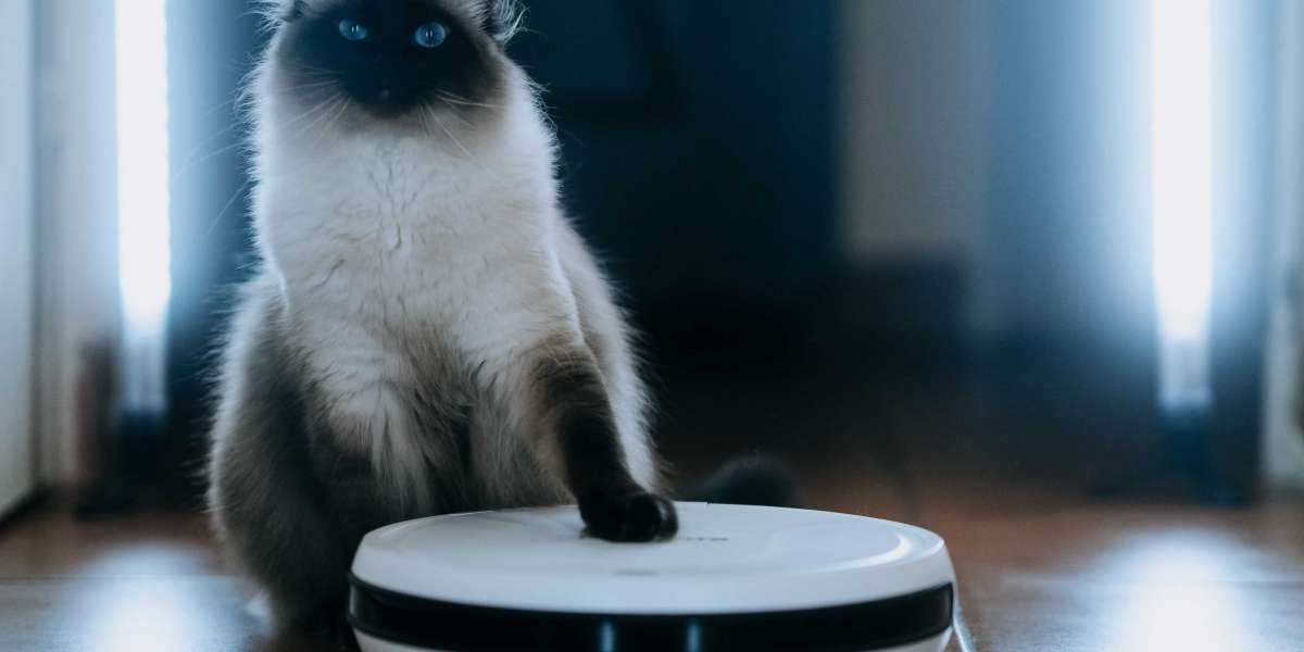 Guide To Cheap Robot Vacuum Cleaner: The Intermediate Guide In Cheap Robot Vacuum Cleaner
