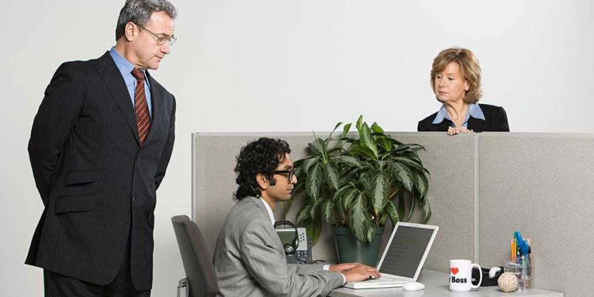 Understanding the Role of a Healthcare Provider