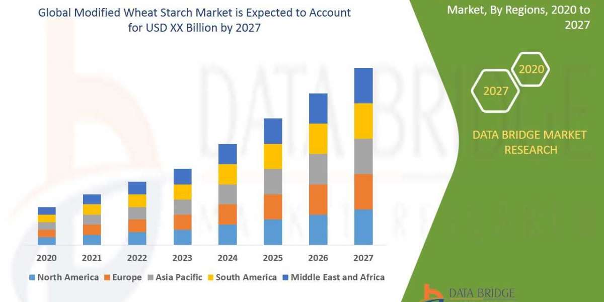 Modified Wheat Starch Market Trends: Growth, Share, Value, Size, and Insights