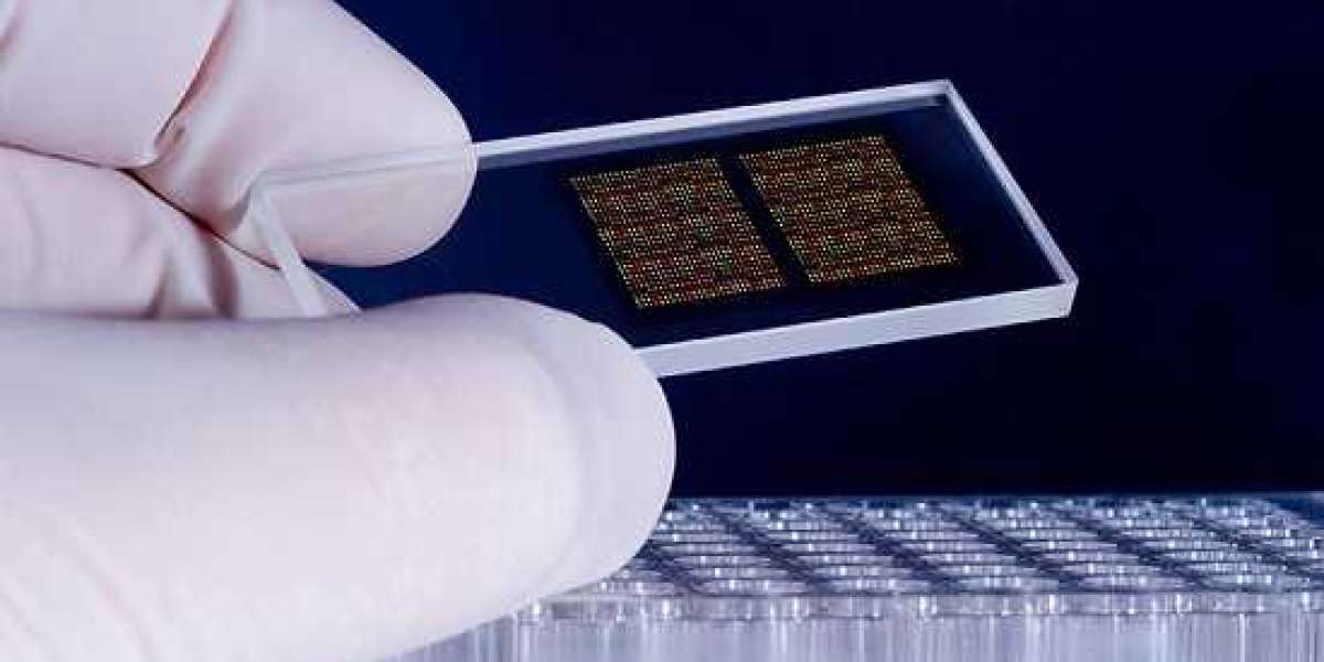 Analyzing the Blueprint of Life: Market Dynamics of Microarray Analysis