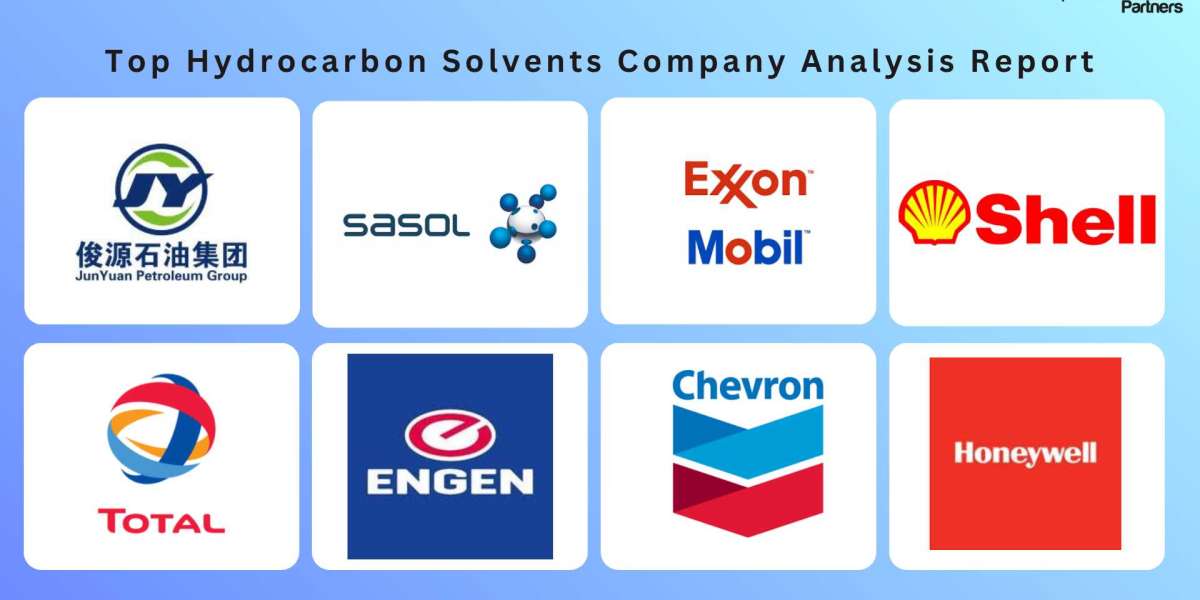 Hydrocarbon Solvents Market: A Vital, Evolving Industry
