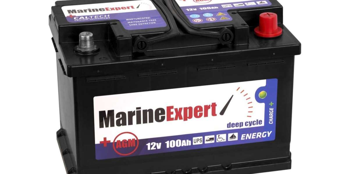Battery-Powered Voyages: Market Trends Transforming Marine Propulsion Systems