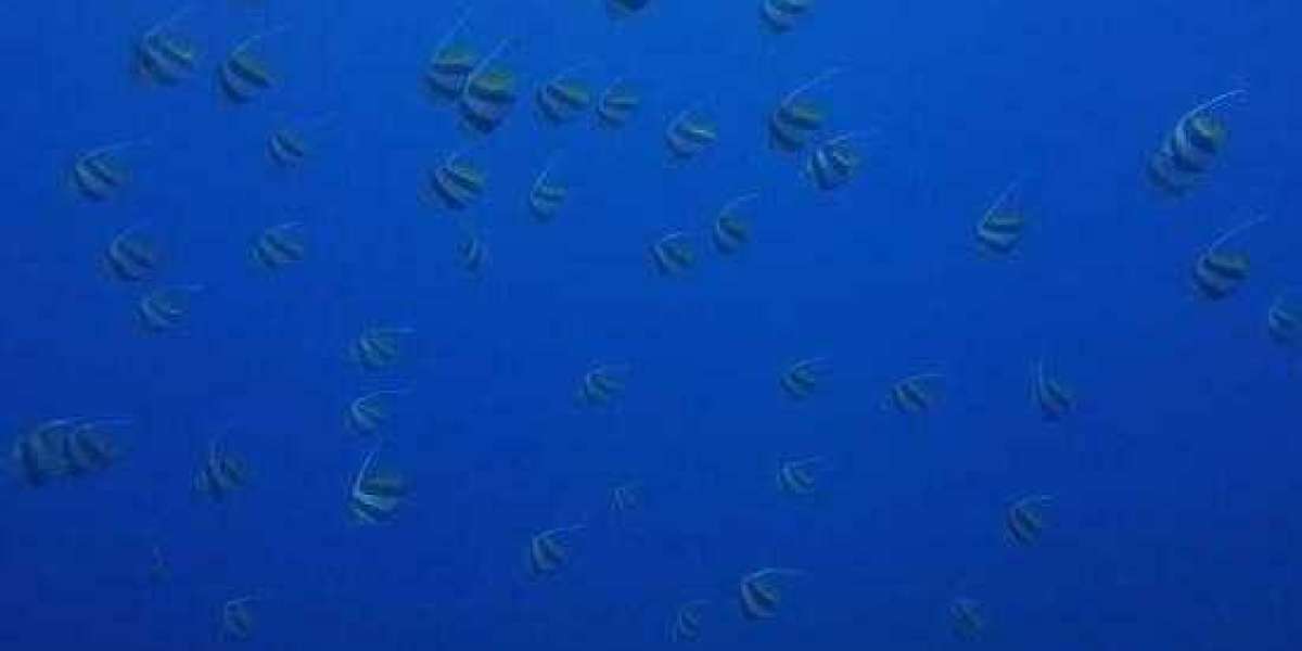 What is the BRRRR Method in Real Estate?