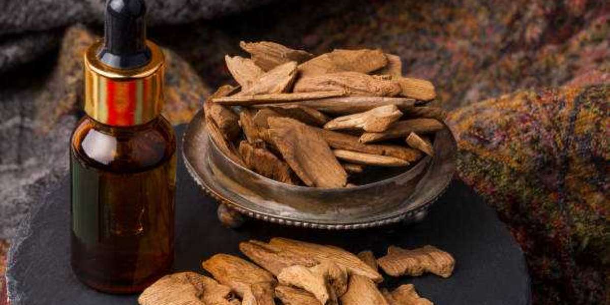 Agarwood Essential Oil Market Overview: Production, Demand, and Usage