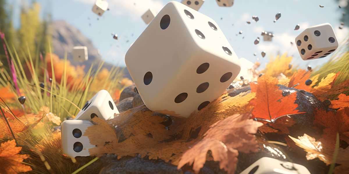 국내외 인기 카지노사이트 비교와 신뢰 플랫폼 역할