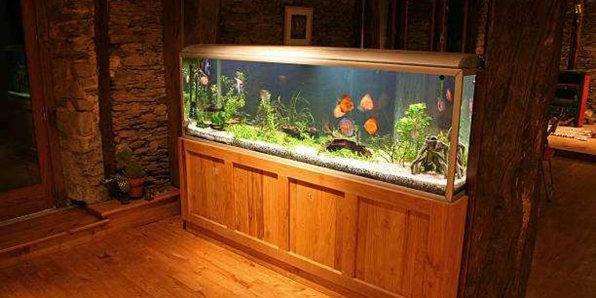 Must-Have Aquarium Accessories for Hobbyists in 2025
