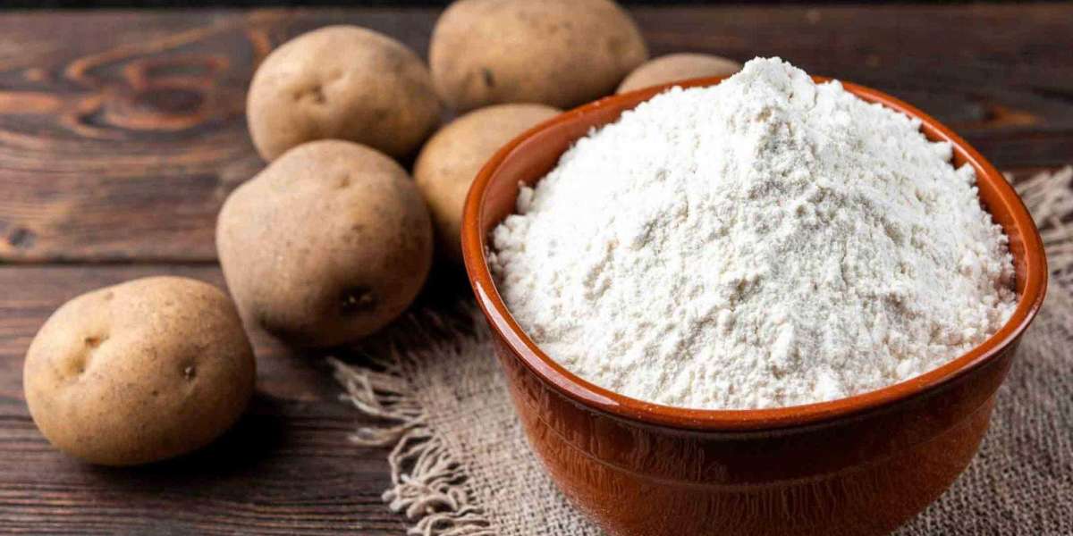 Exploring the Potato Starch Market: Trends and Forecasts