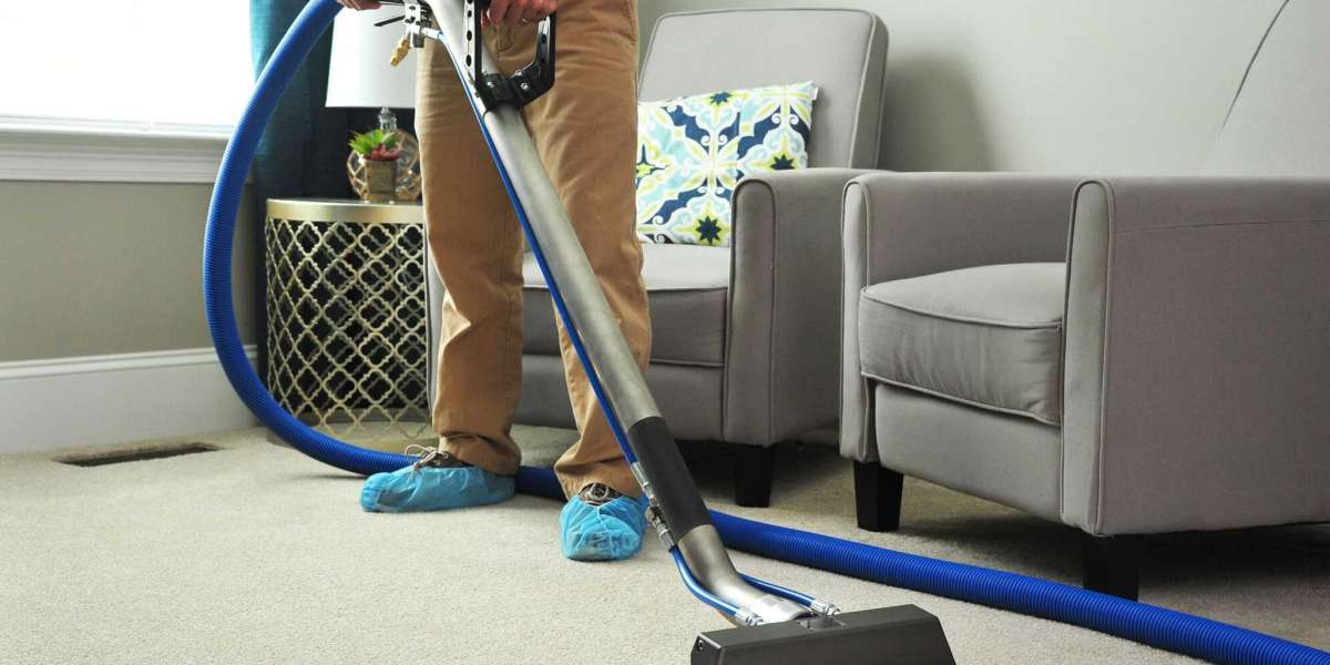 A Comprehensive Study on Carpet Cleaners: Types, Effectiveness, and Usage