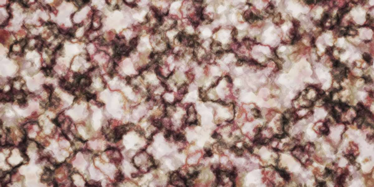 Exploring Guaranteed Loans for Bad Credit: A Comprehensive Look at No Credit Check Choices