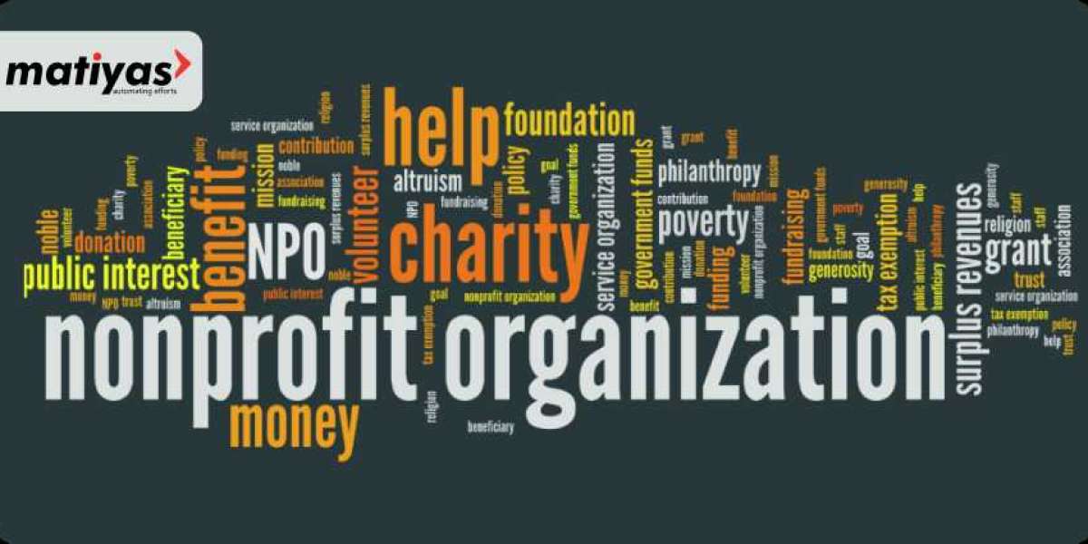 NGO Software: Driving Growth and Social Impact in the Digital Era