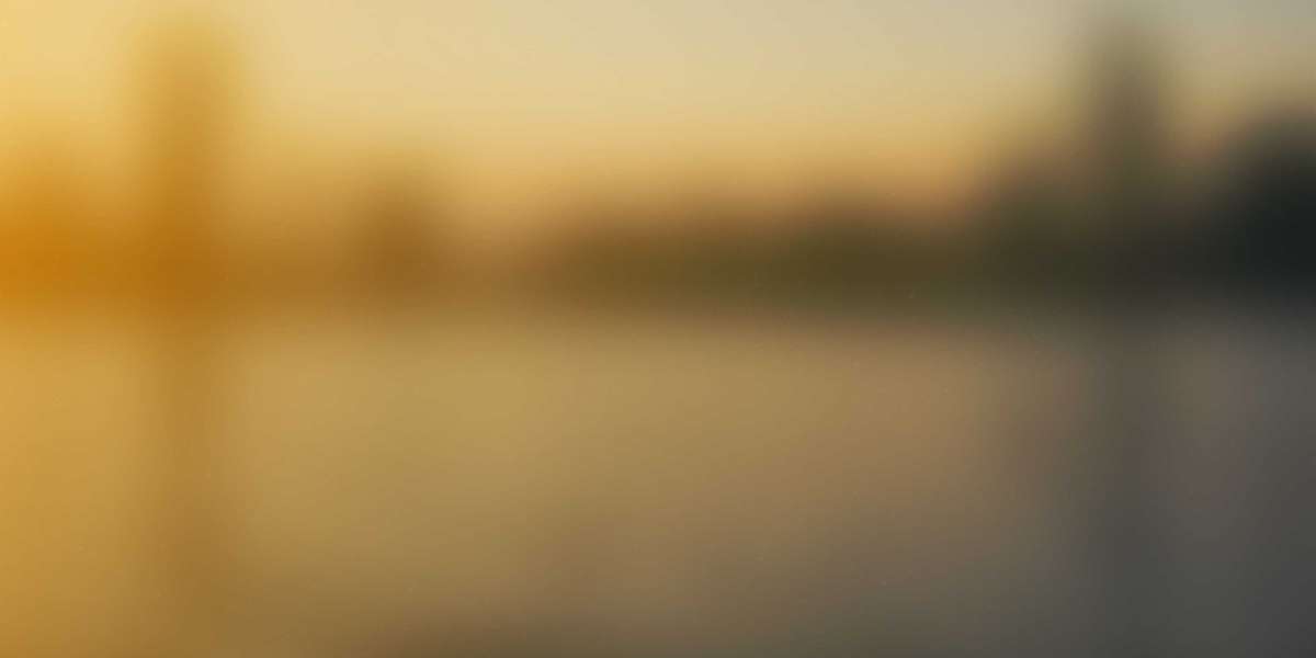 Buying Gold and Silver for Dummies: A Easy Information To Precious Metal Investments