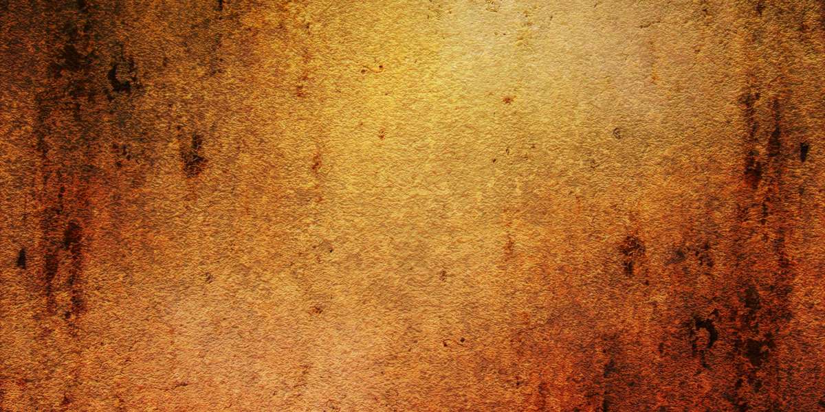 Understanding Emergency Loans Without Credit Score Checks: A Complete Overview