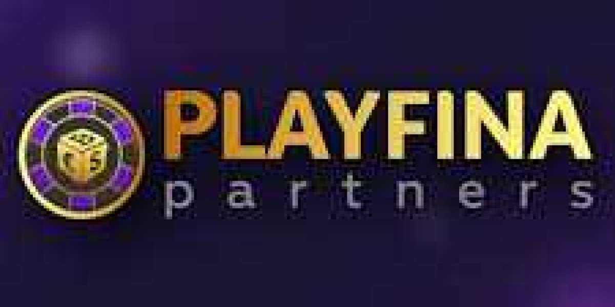Playfina Loginseite Features