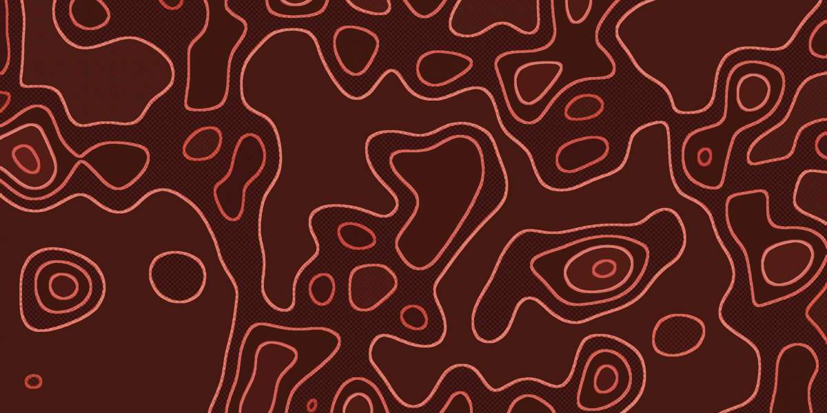 Exploring the Landscape Of Online Financing: No Credit Check Options