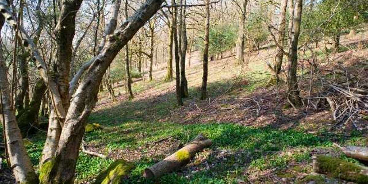 Casino World Apps on Google Play