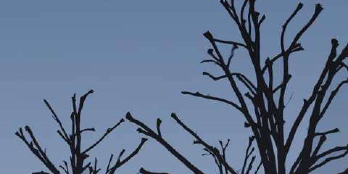 Meet the People Behind the Play