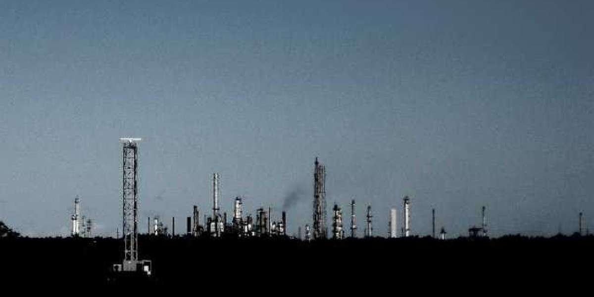 Login, App & Online Casino for Kiwi Players