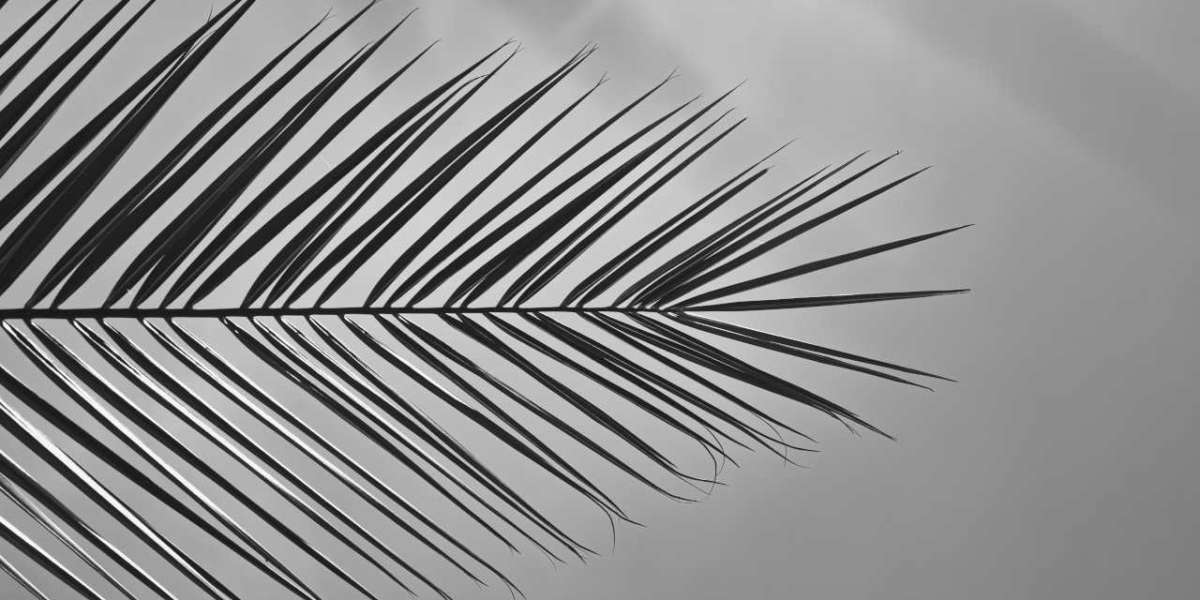 How can I identify the best keywords for my content or website?