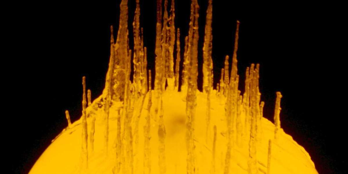 Top Online Casino Games Platform in The USA