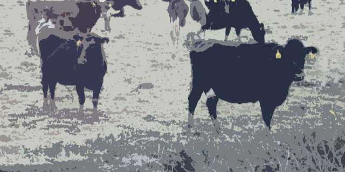 Treasury Casino & Hotel review and player feedback