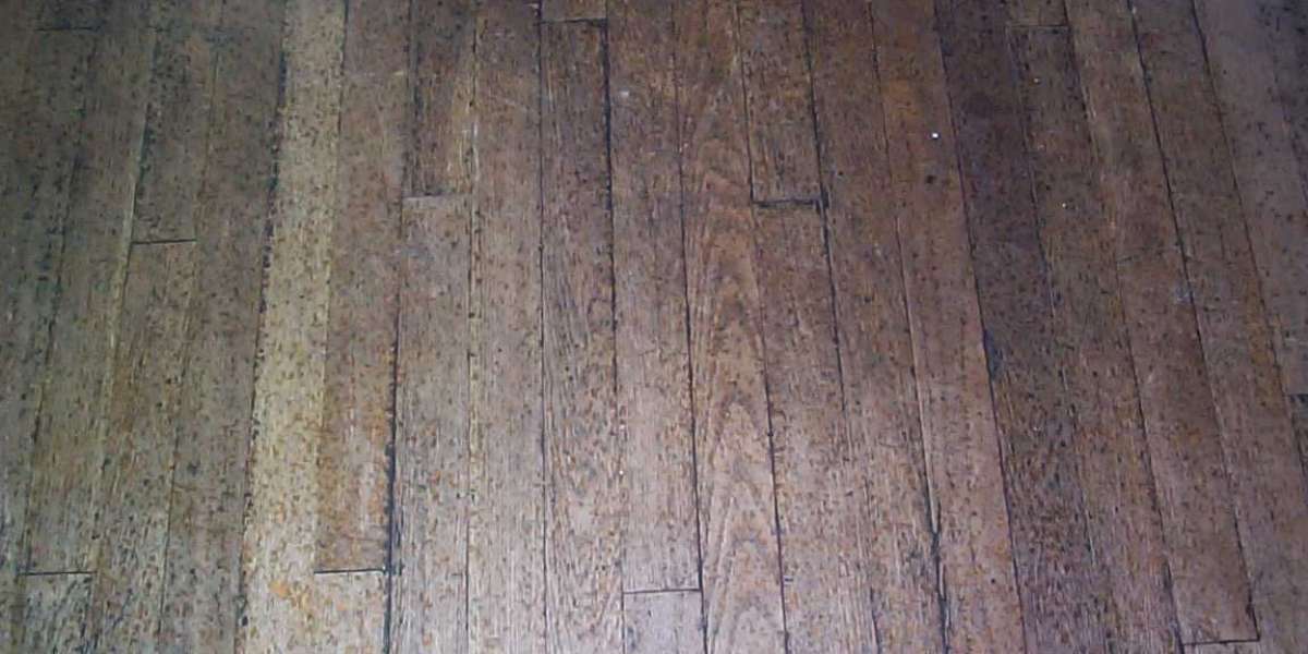 Meet the People Behind the Play