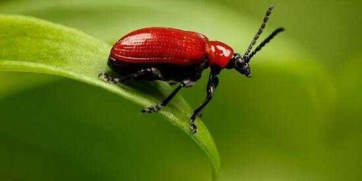 What is the Gross Rent Multiplier (GRM) in Real Estate?