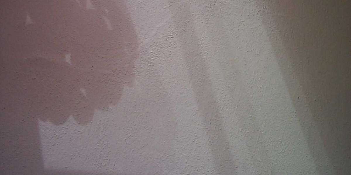 Enjoy Exciting Games and Bonuses