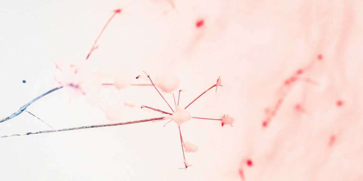 Do the majority of NYC cafes accept laptops?