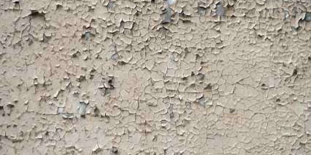 50 Free Spins & Top Games