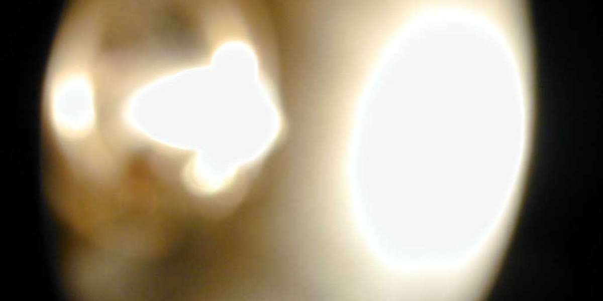 Your Path to Real Online Gambling Begins Safely