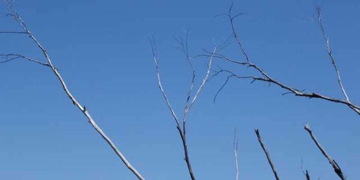 Best Legit Online Casinos: Real Money Sites in 2025