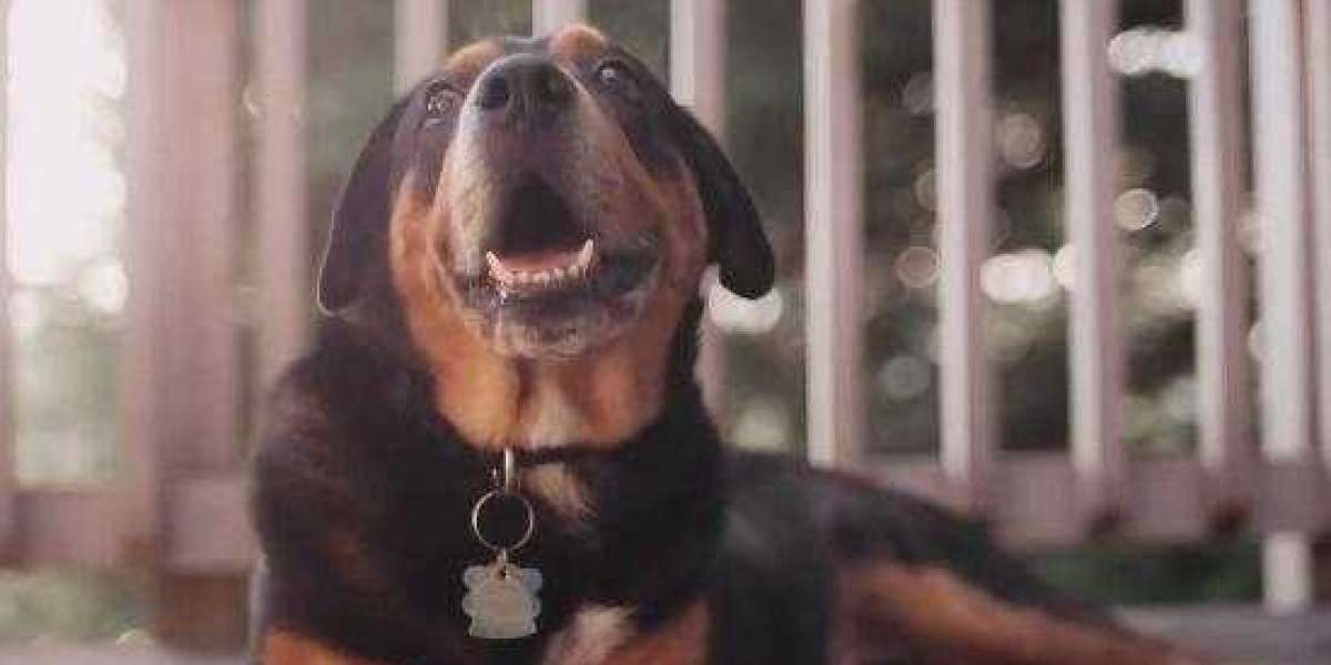 Jumbo Vs. Conventional Mortgages: what's The Difference?