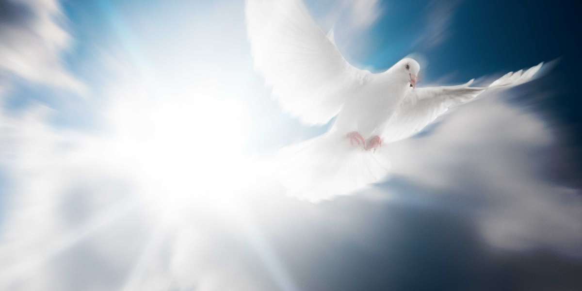 Complete Research Report on Gold Bullion For Sale