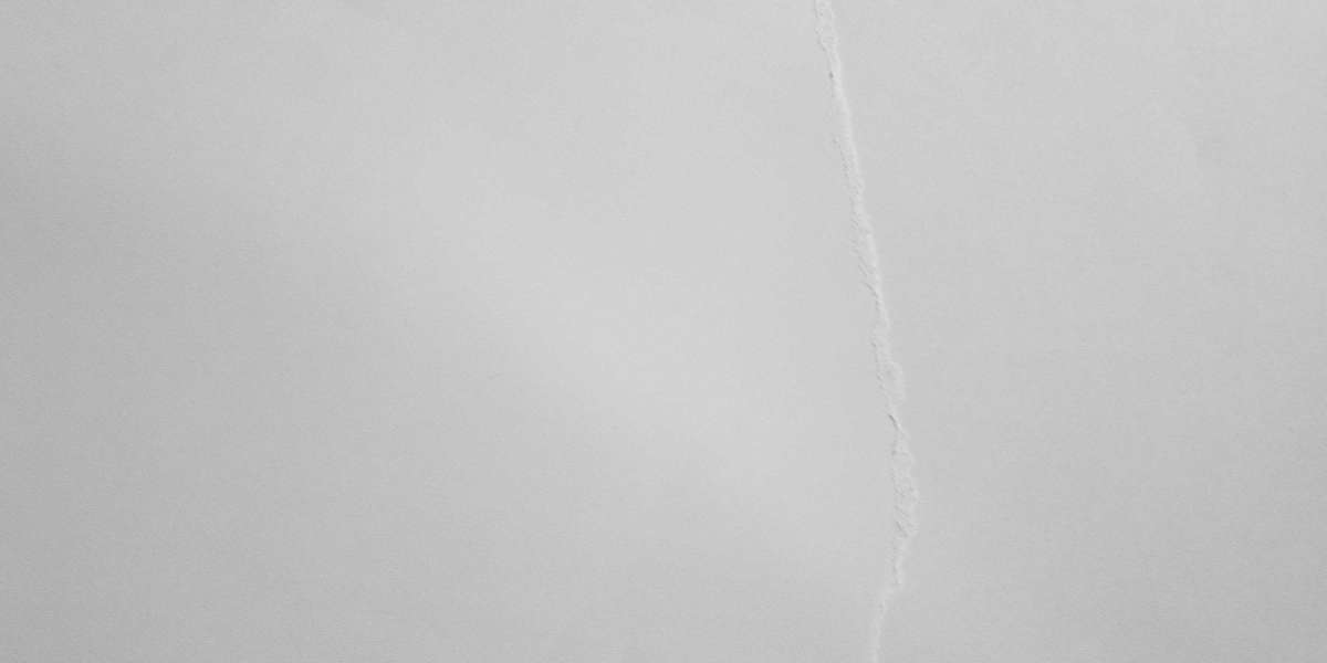 $250 Loan No Credit Check: A Comprehensive Study Report