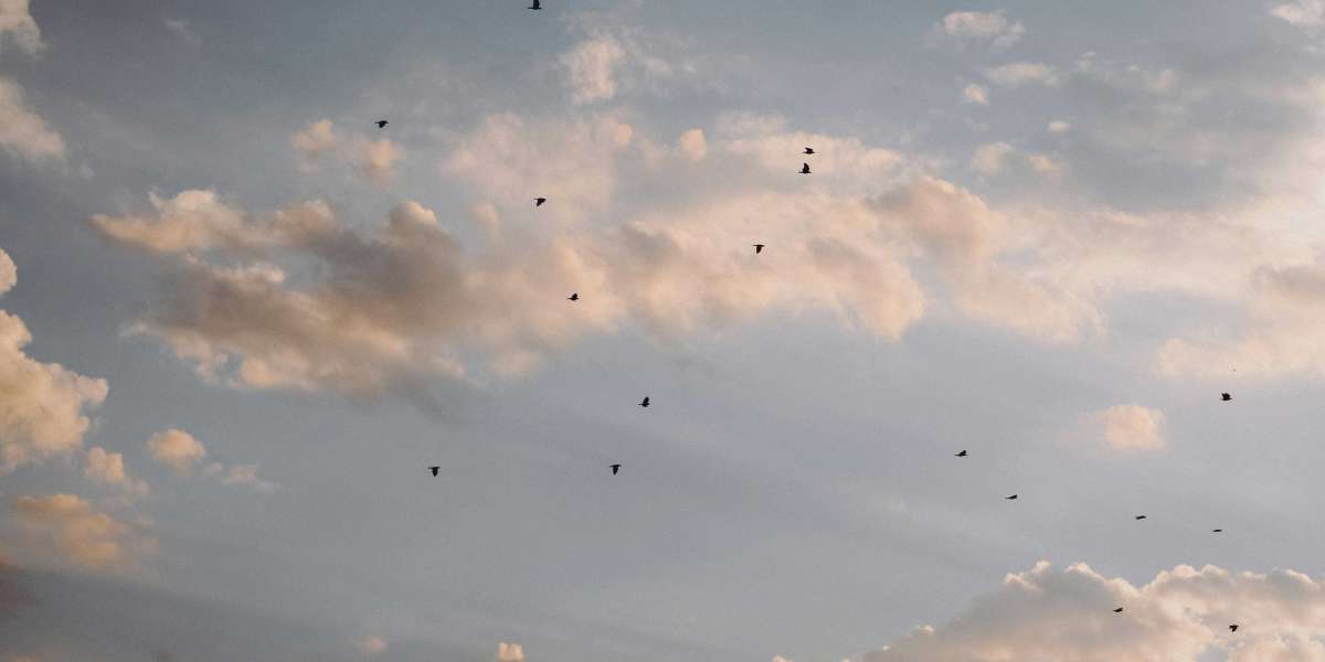 eznpc Diablo 4 Talisman Sets Guide Why They Beat D3