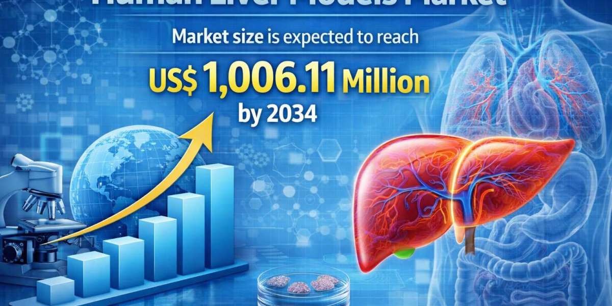 North America Human Liver Models Market Growth & Forecast to 2034