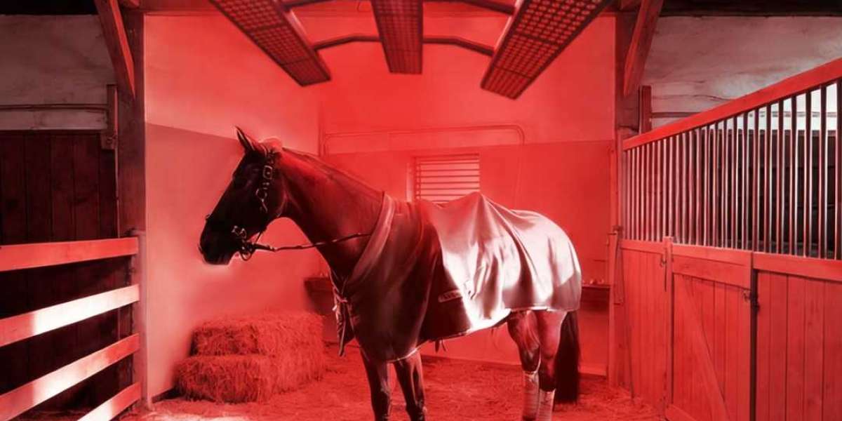 A Complete Guide to Red Light Therapy Blanket Manufacturers for Equine Care