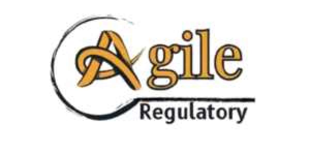 Drug License Consultant: Expert Support for Easy Approval