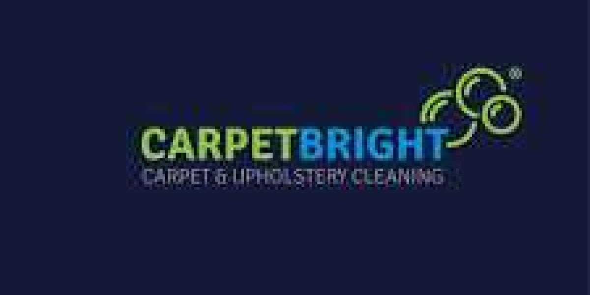 Carpet Cleaning Services Supporting Homes With Active Daily Routines